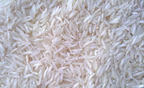 Sharbati Rice Manufacturer Supplier Wholesale Exporter Importer Buyer Trader Retailer in Taraori Haryana India